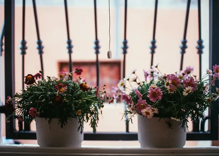 Em Kastelo Apartment *