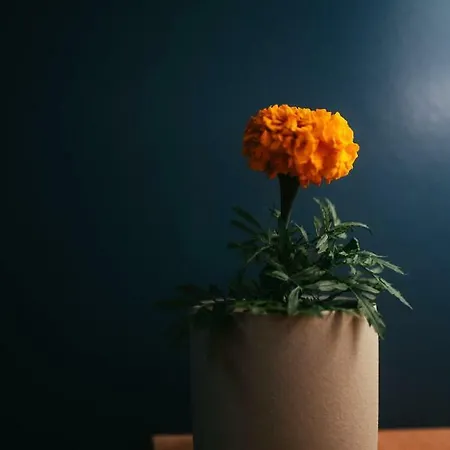 Em Kastelo Задар